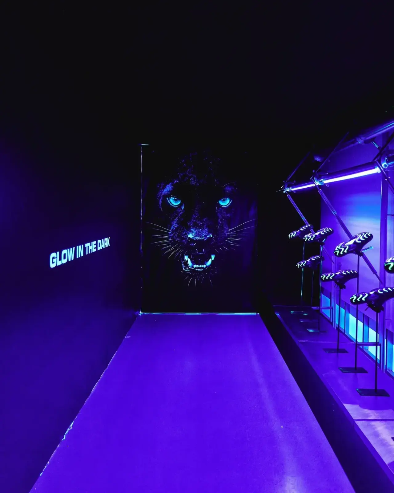 The panther room, lit in violet